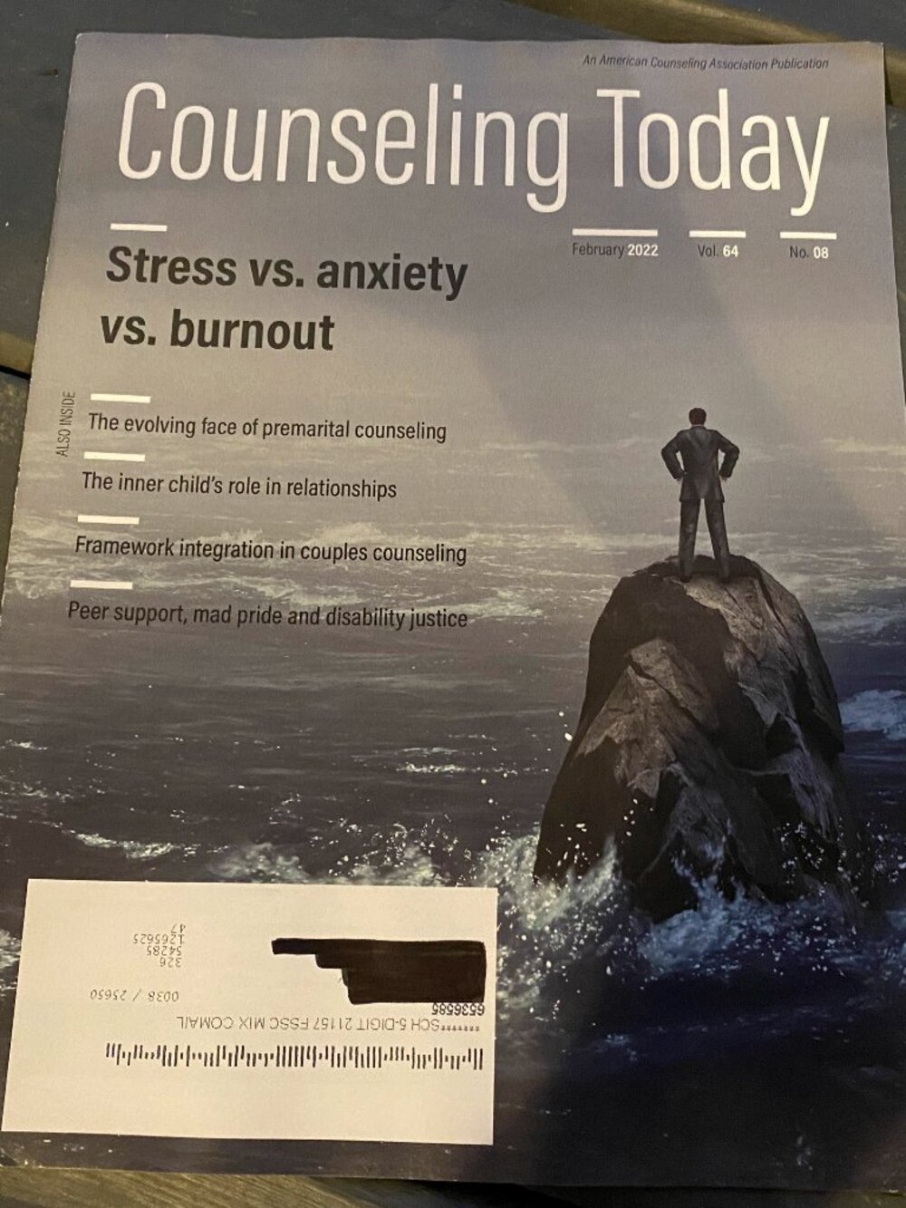 Counseling Today Magazine Feb. 2022 Vol. 64 No. 08- Stress v. anxiety v. burnout